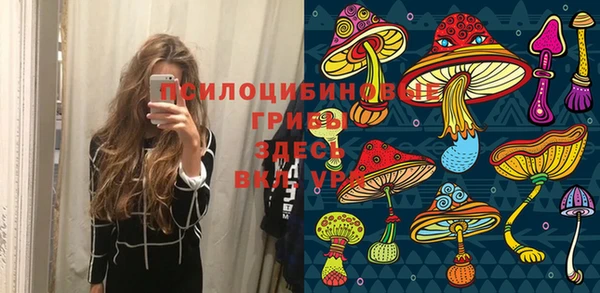 круглые Аркадак