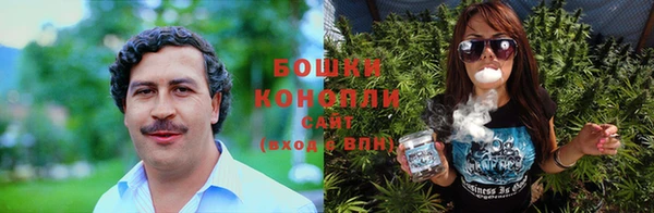 круглые Аркадак