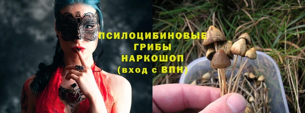 spice Кукмор