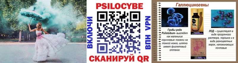 где продают   Боготол  Псилоцибиновые грибы Magic Shrooms 